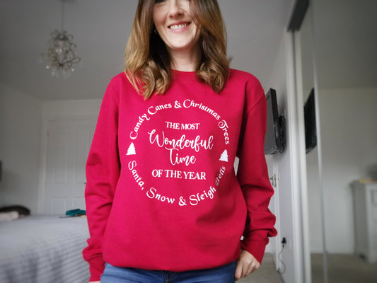 The Most Wonderful Time of the Year Ladies Sweatshirt