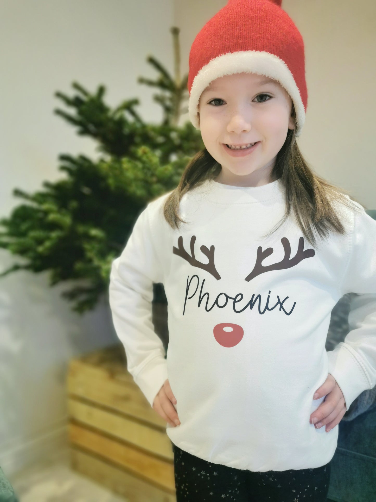 Personalised Reindeer Adult and Kids Sweatshirt