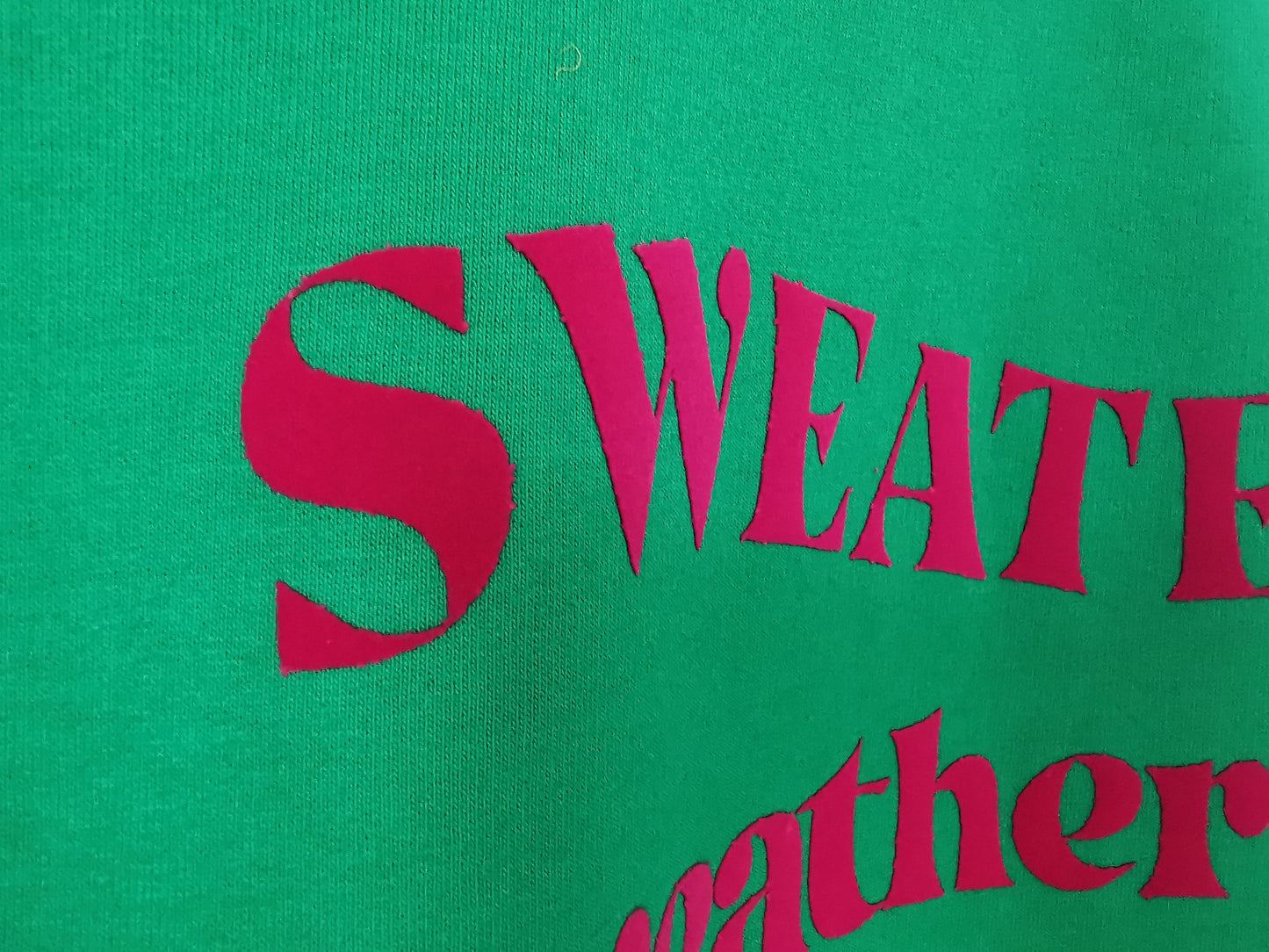 Sweater Weather Ladies Sweatshirt